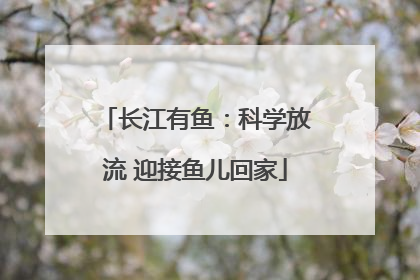 长江有鱼：科学放流 迎接鱼儿回家